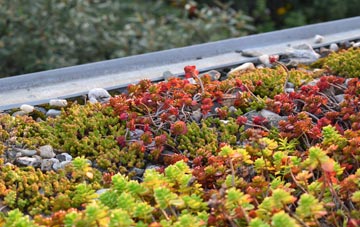 the cost of Whalley green roof installation