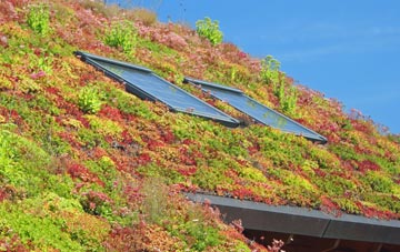Whalley living roof systems